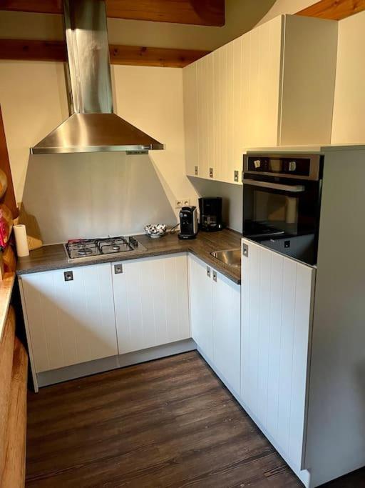 Unieke Houten Villa Met Sauna In Twente - 6P Den Ham المظهر الخارجي الصورة
