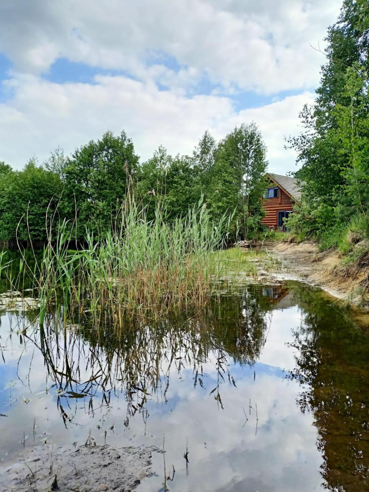Unieke Houten Villa Met Sauna In Twente - 6P Den Ham المظهر الخارجي الصورة